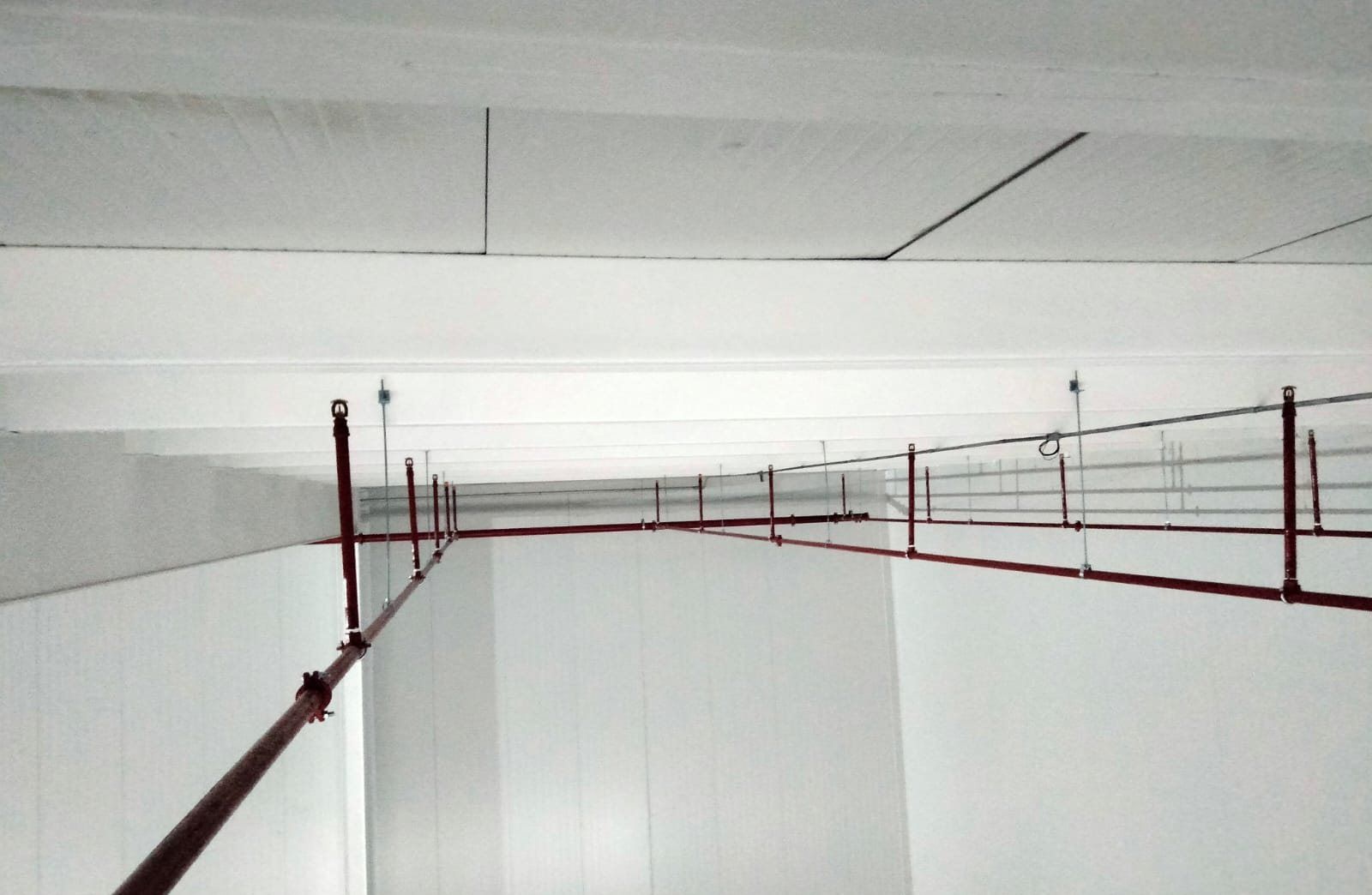 Ramales de tubería roja de rociadores automáticos instalados bajo una cubierta blanca.